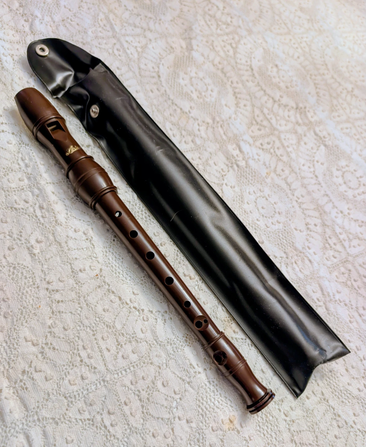 Aria Brown Recorder with Case