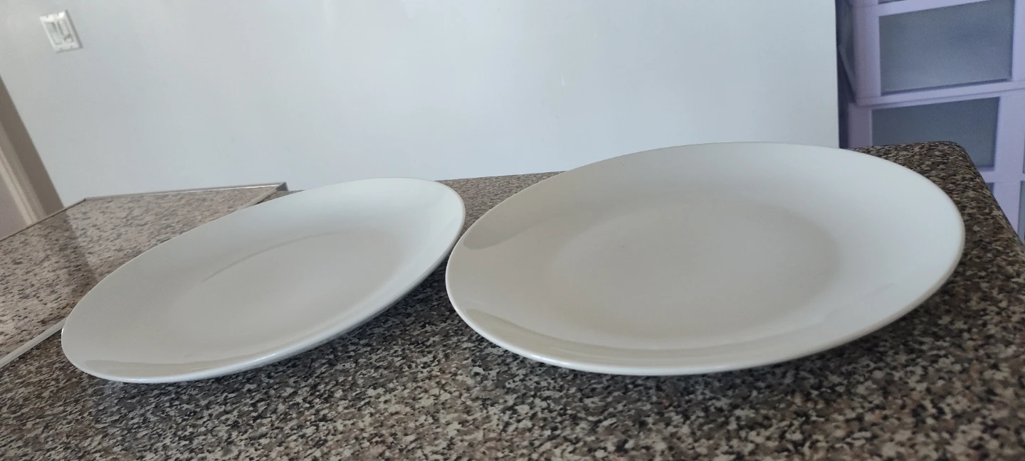 Two White Dinner Plates
