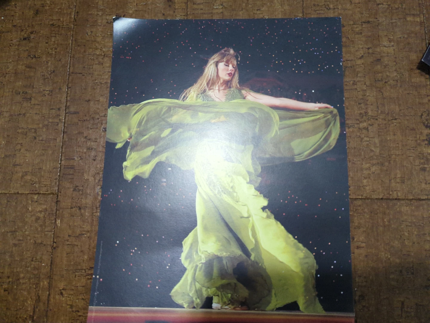 Taylor Swift Concert Photo Prints - photo 4