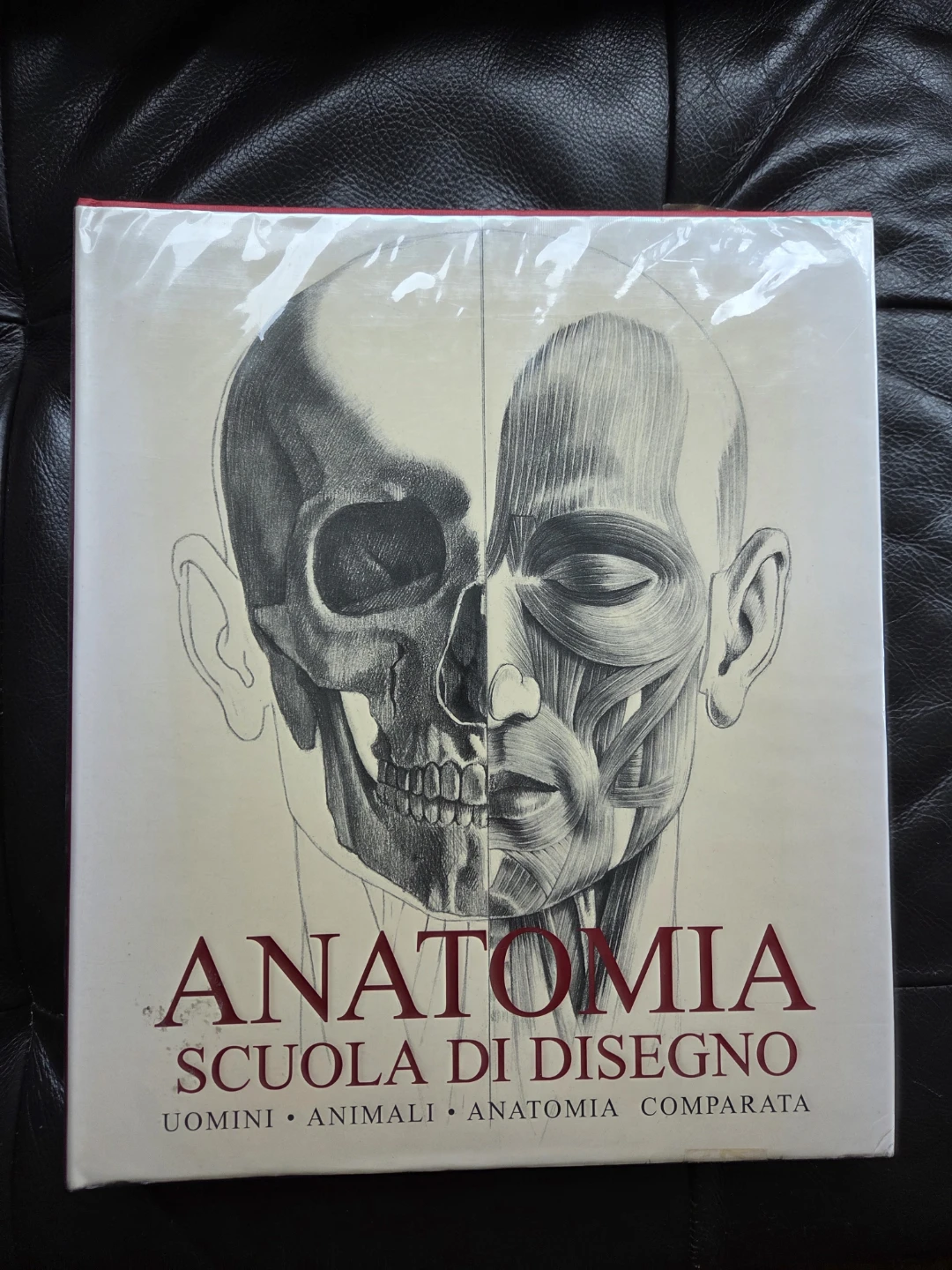 Anatomia Drawing School Book in Italian