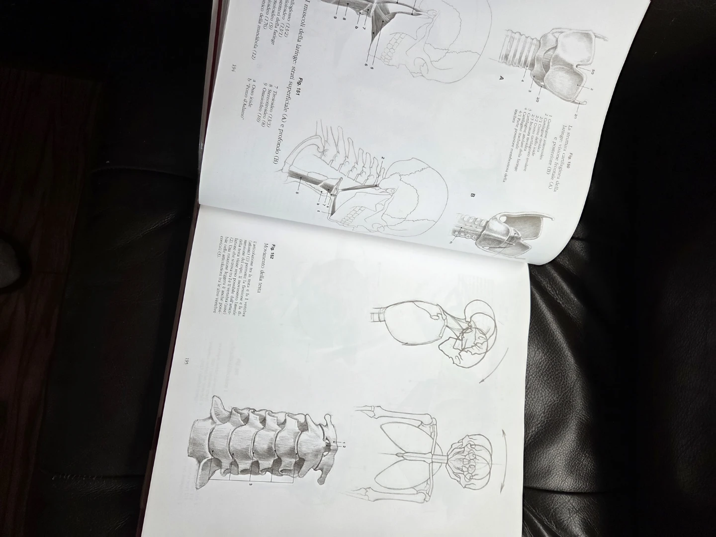 Anatomia Drawing School Book in Italian - photo 3