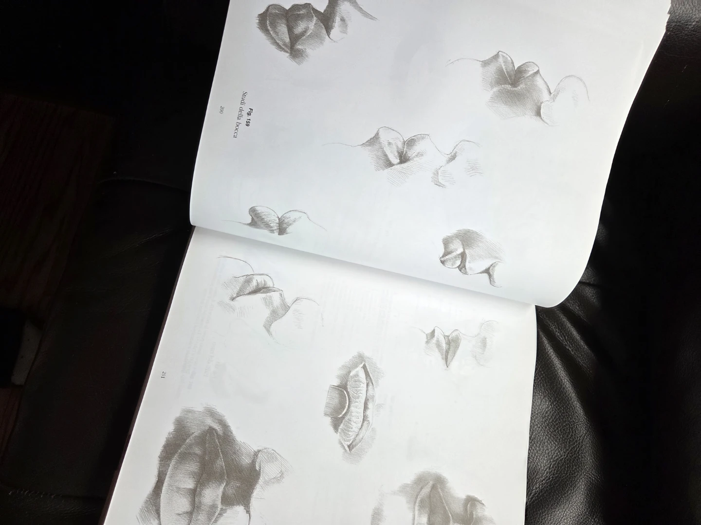Anatomia Drawing School Book in Italian - photo 4