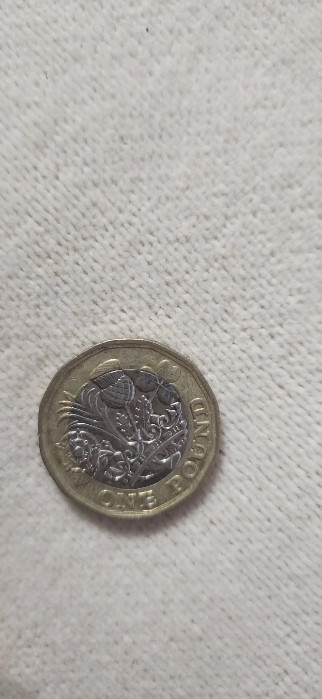 2017 One Pound Coin - photo 2