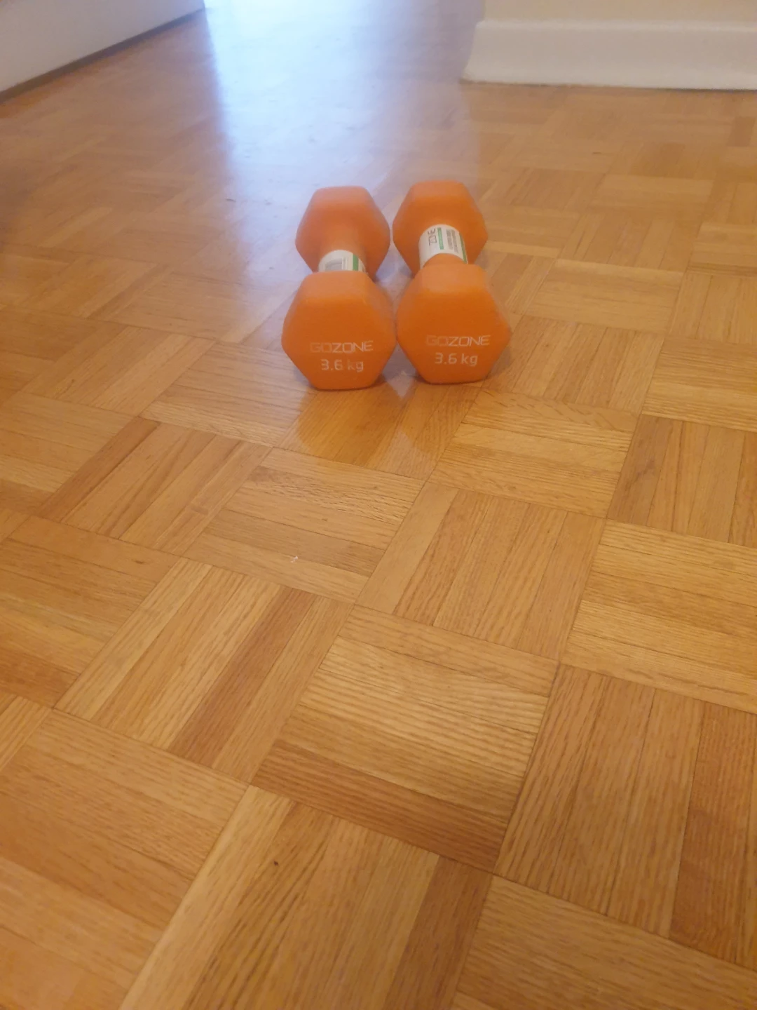 GoZone Dumbbells - 3.6 kg each