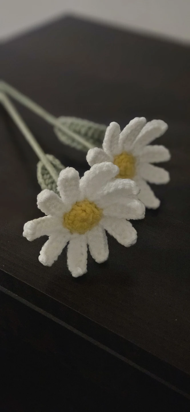 Crocheted Daisy Flowers 🌼
