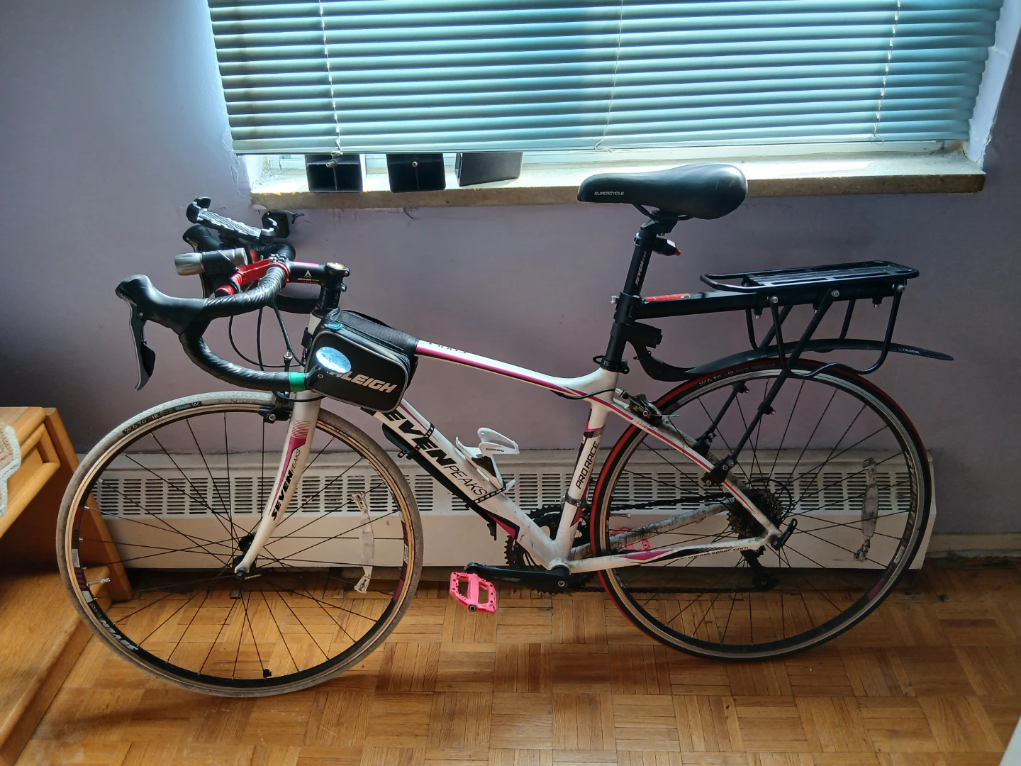 Raleigh Hybrid Road Bike