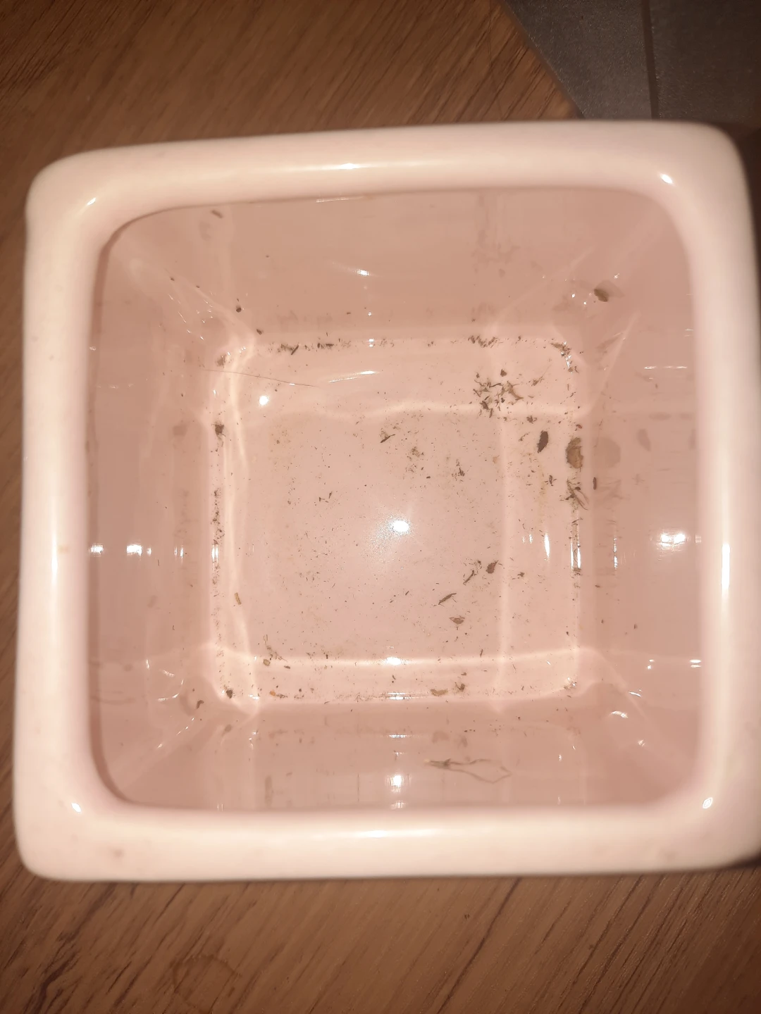 plant pot or planter. Pick up in st.albert - photo 2
