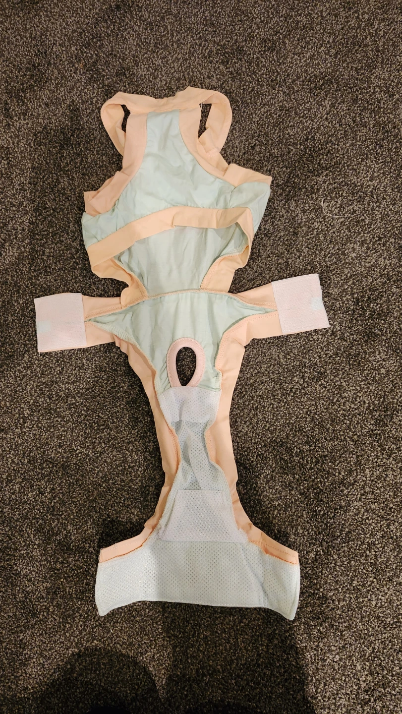 In You Teyuan Pet Dog Diaper - photo 2