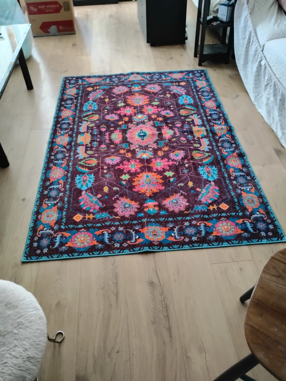 Persian Style Area Rug