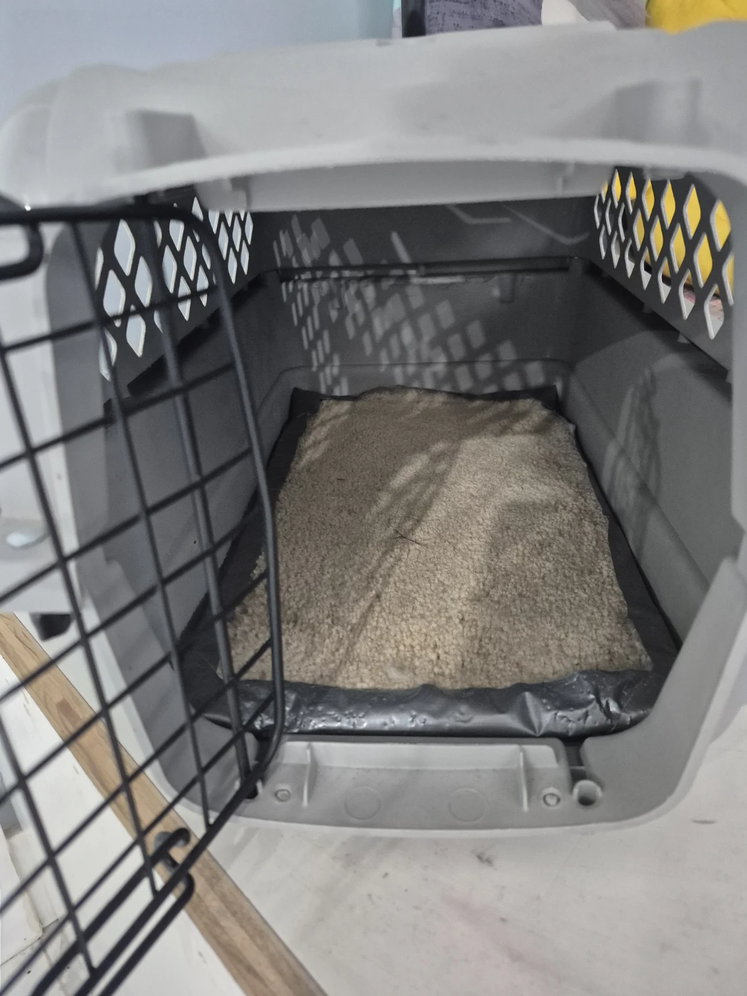 Grey Pet Carrier Crate - photo 3