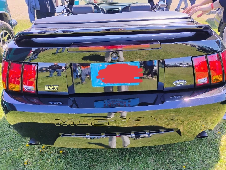 1999 limited edition Ford Mustang SVT Cobra - photo 4