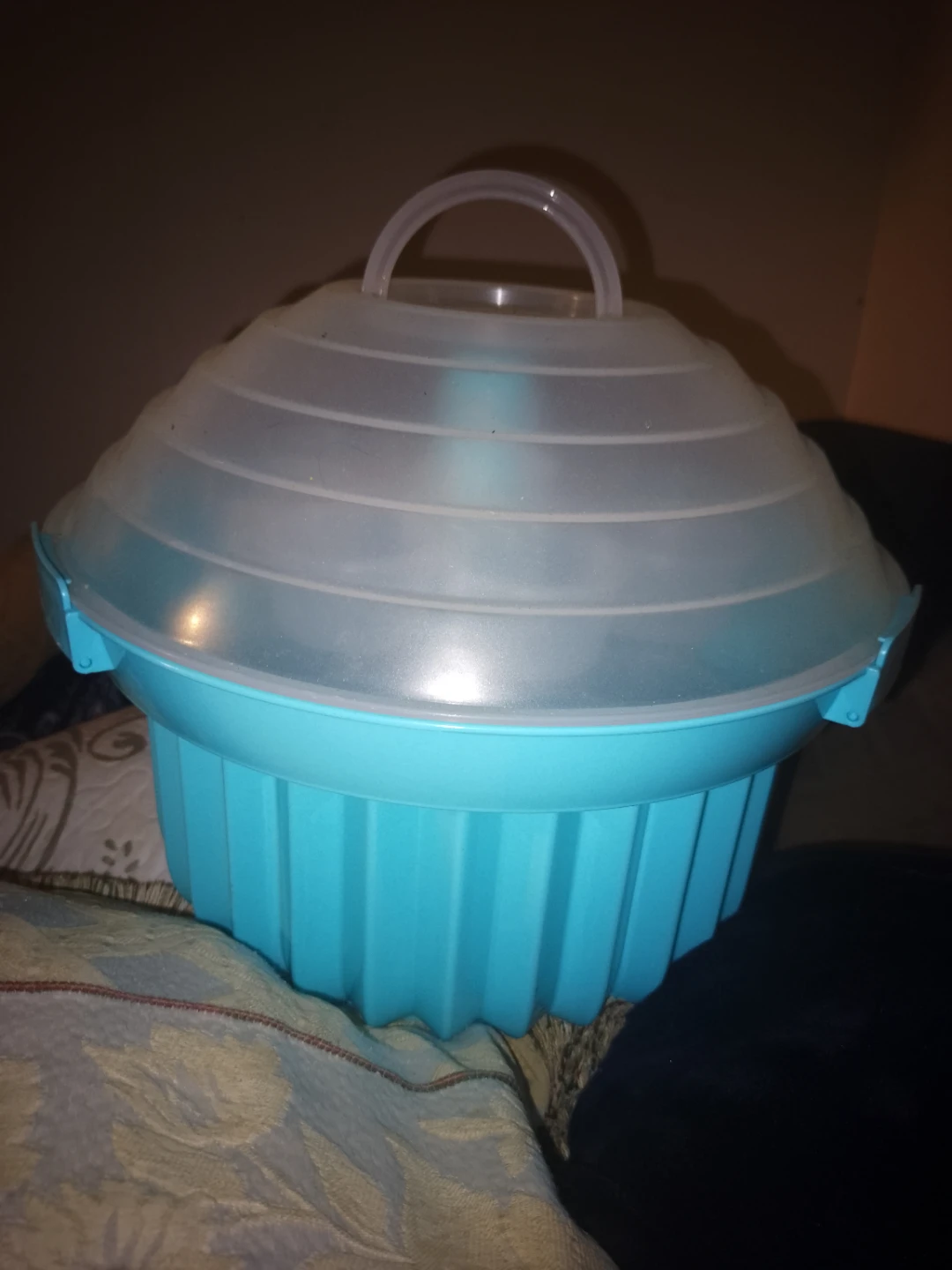 Cupcake Carrier with Lid