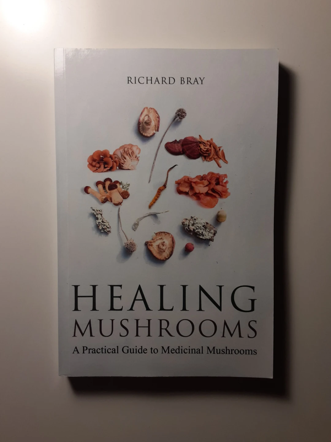 Healing Mushrooms: A Practical Guide