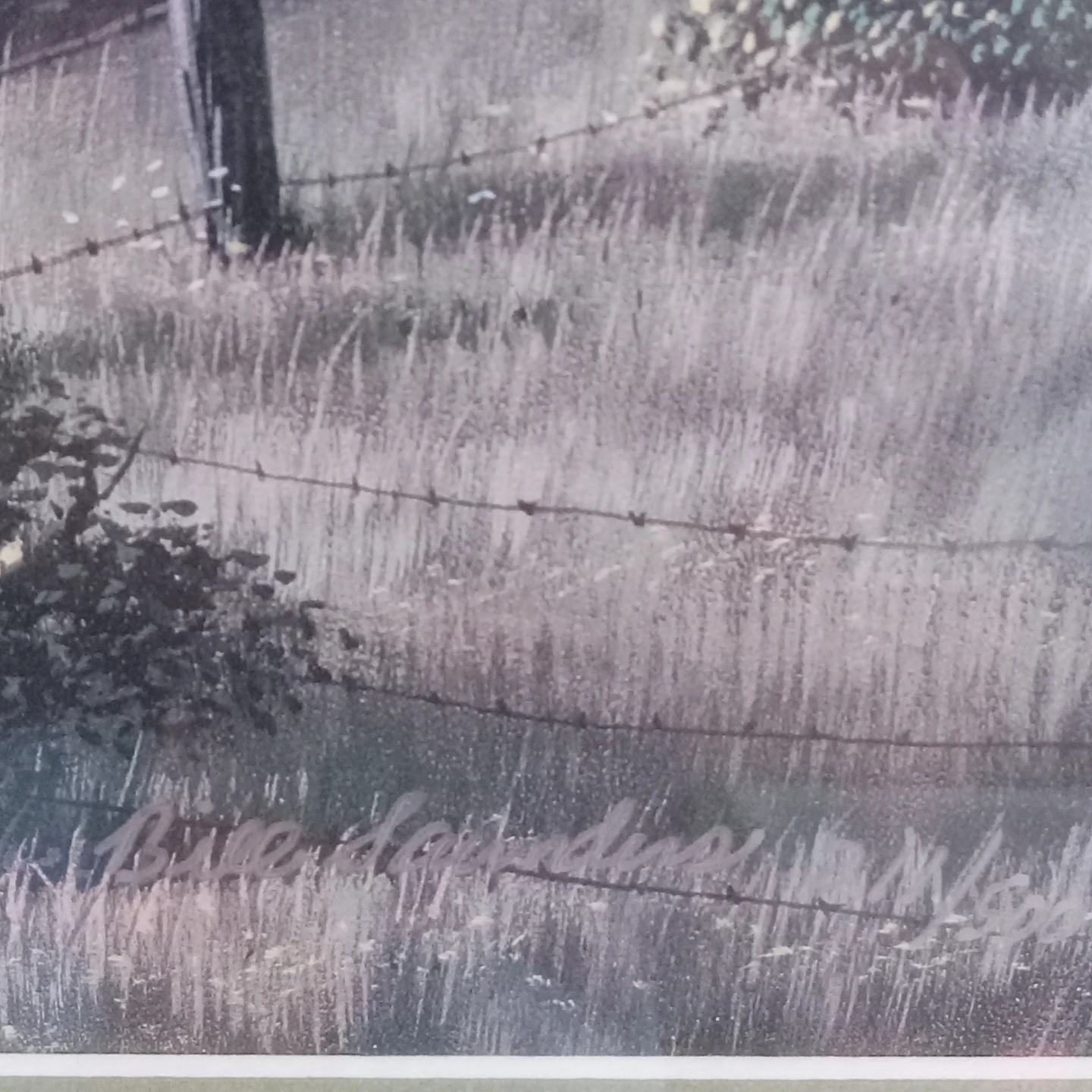 Limited Edition Bill Saunders Print Signed on Glass by Artist - photo 4