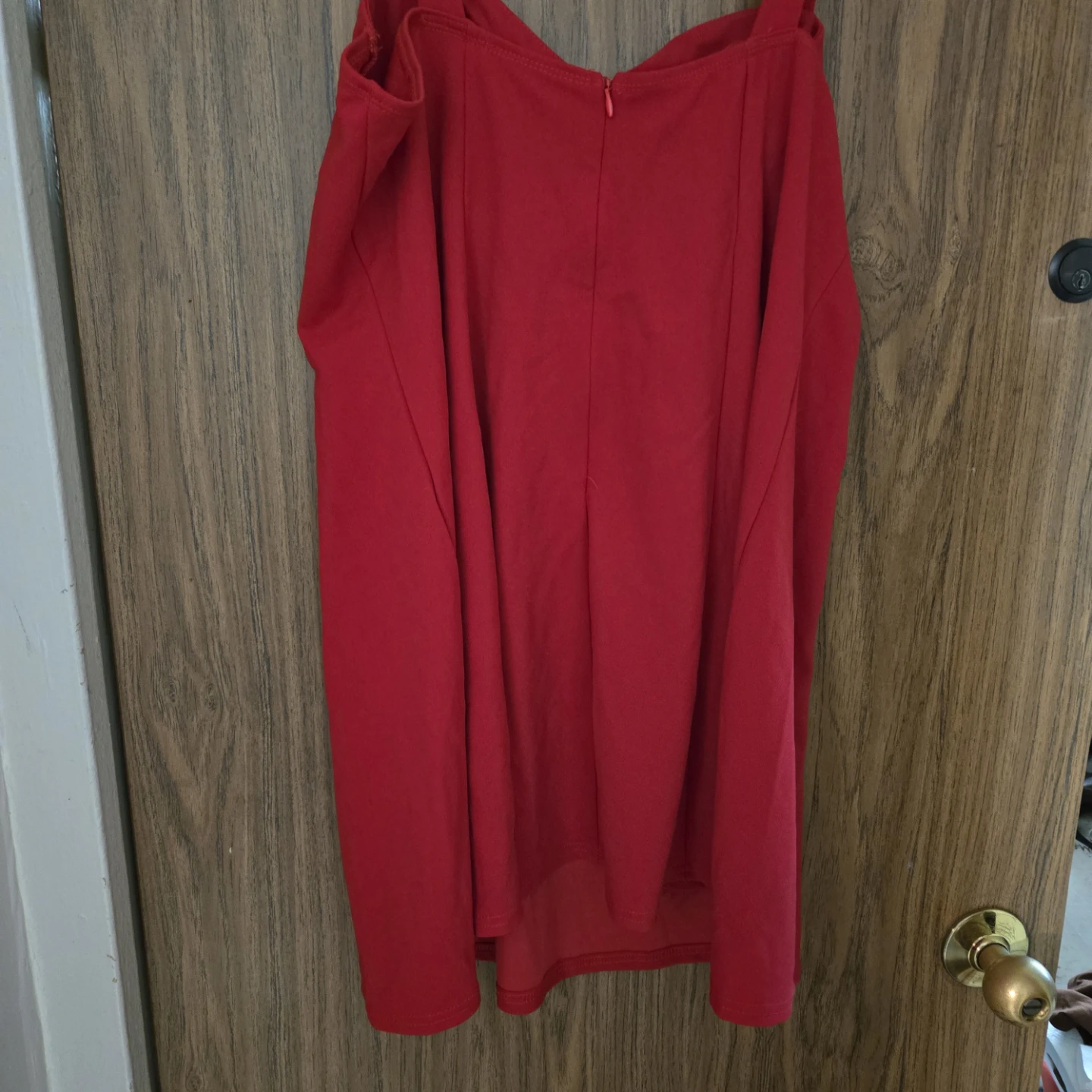 Red Mini Dress with Zipper Back - photo 4