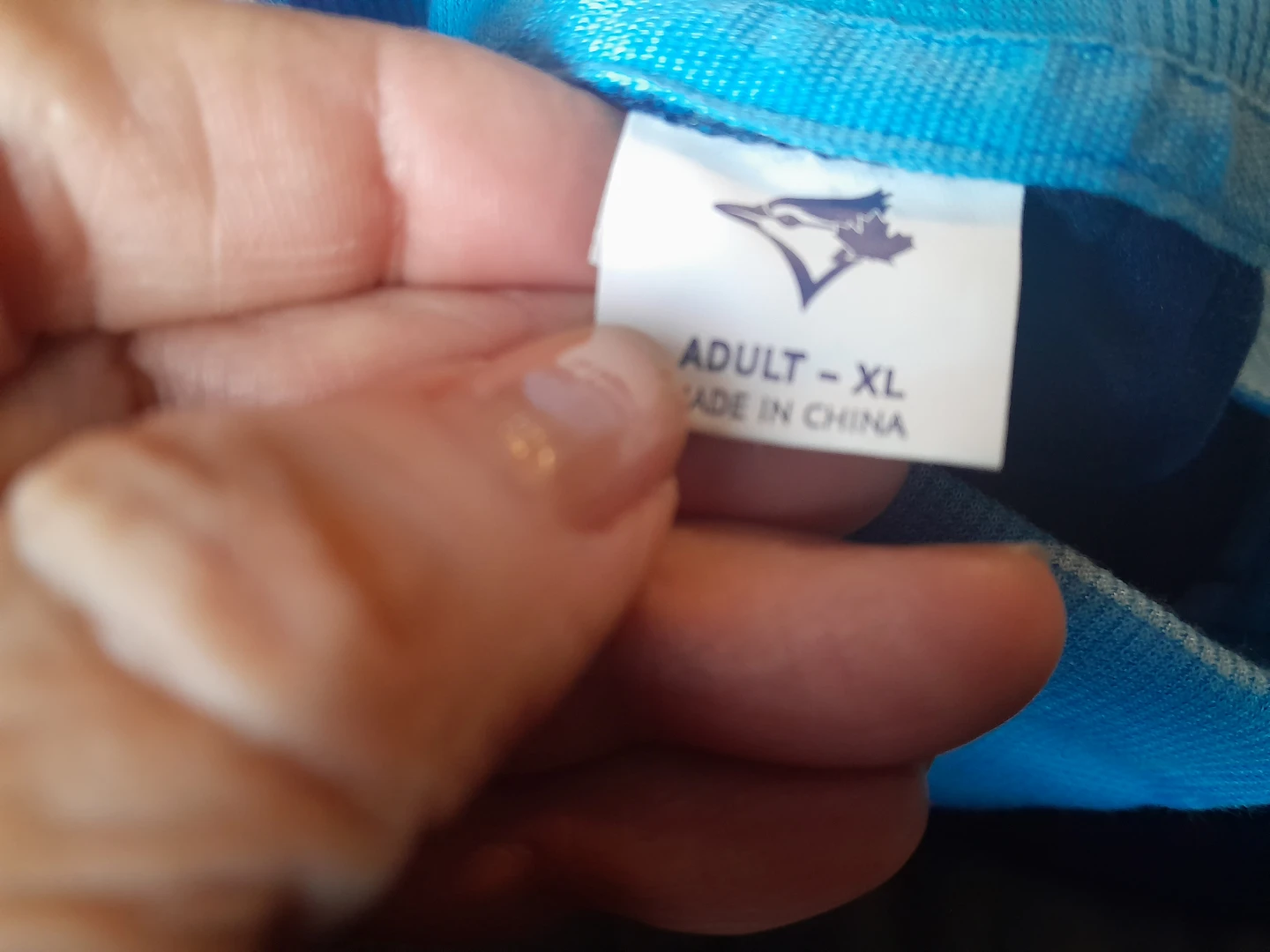 Toronto Blue Jays Team Jacket - photo 3