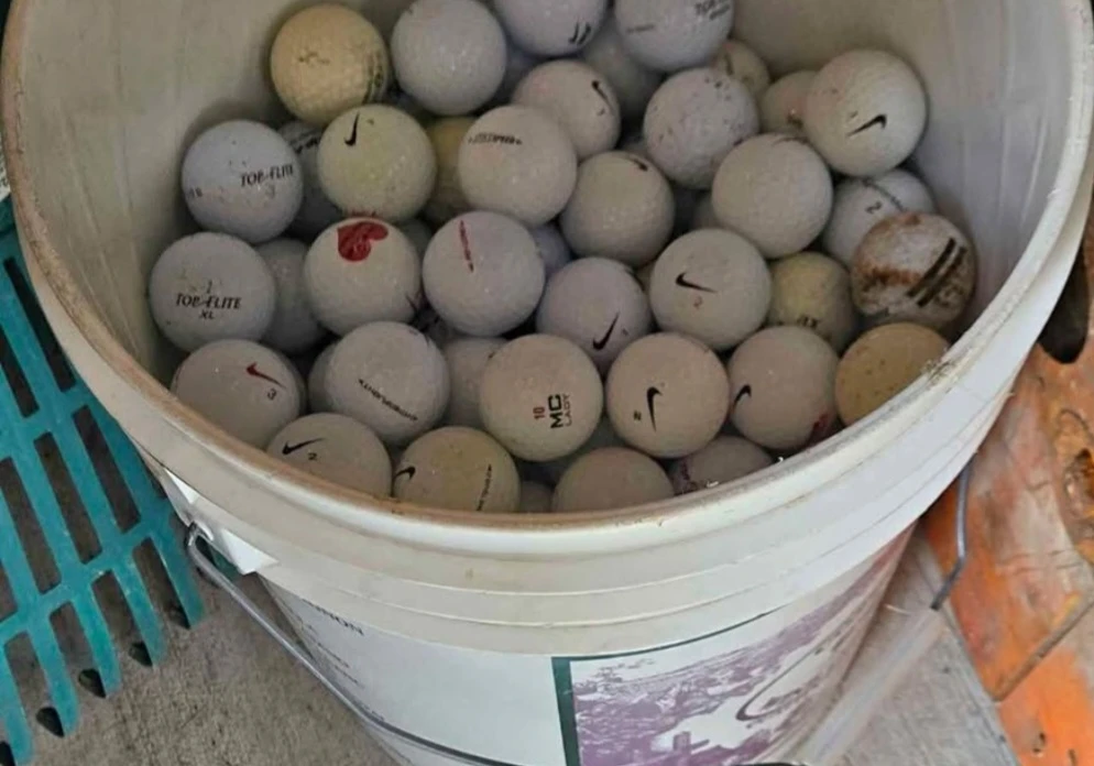 Assorted Golf Balls - Nike, Top-Flite