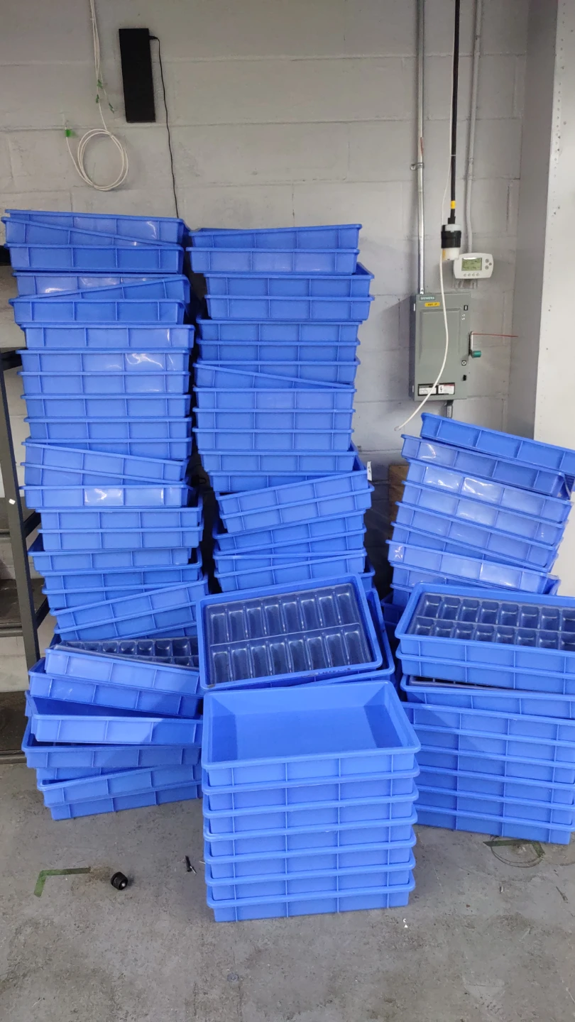 Plastic trays