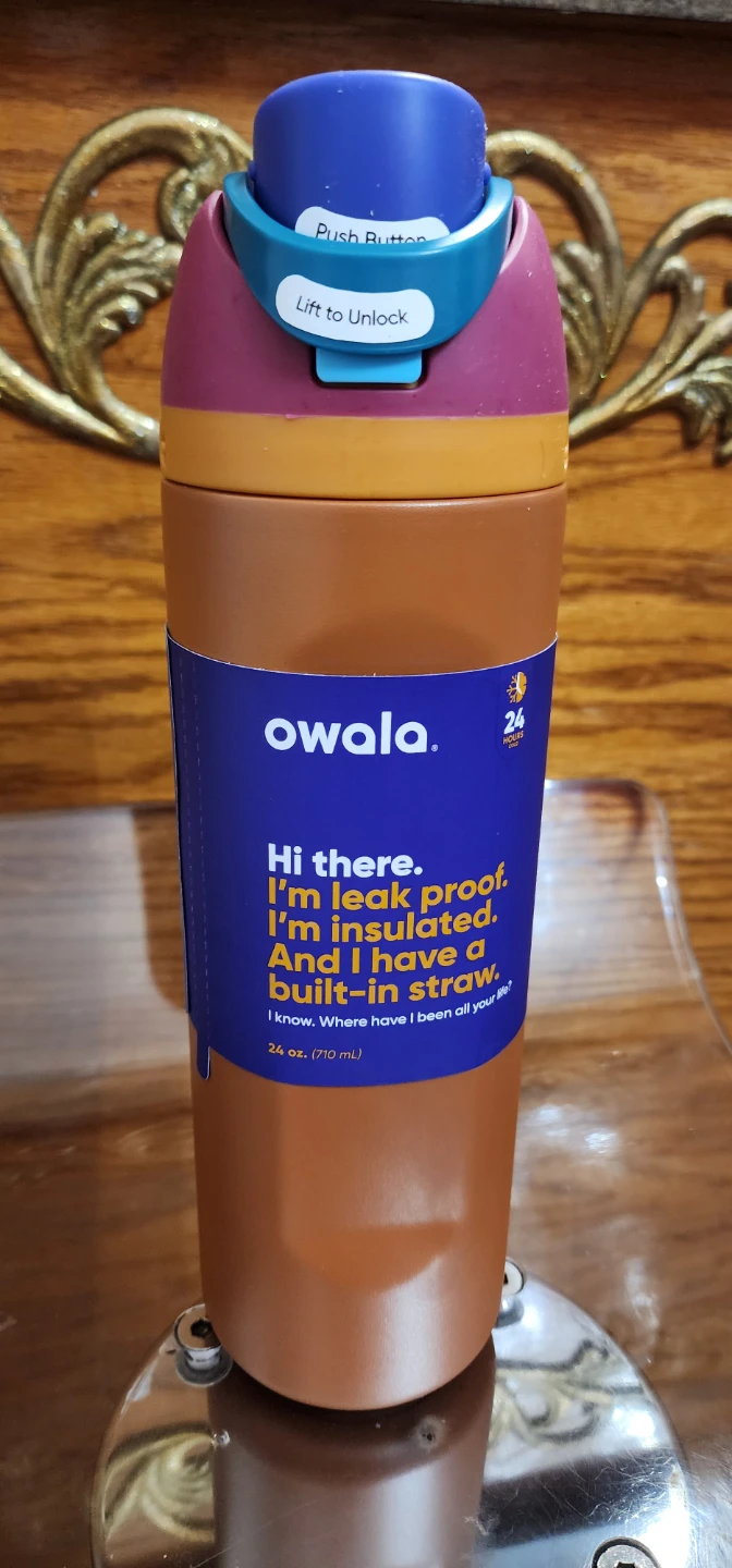 Owala 24 oz Insulated Water Bottle with Built-in Straw