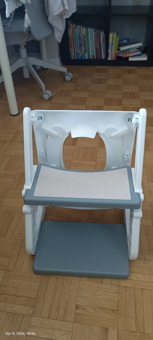 2-in-1 Potty Training Toilet Seat with Step Stool