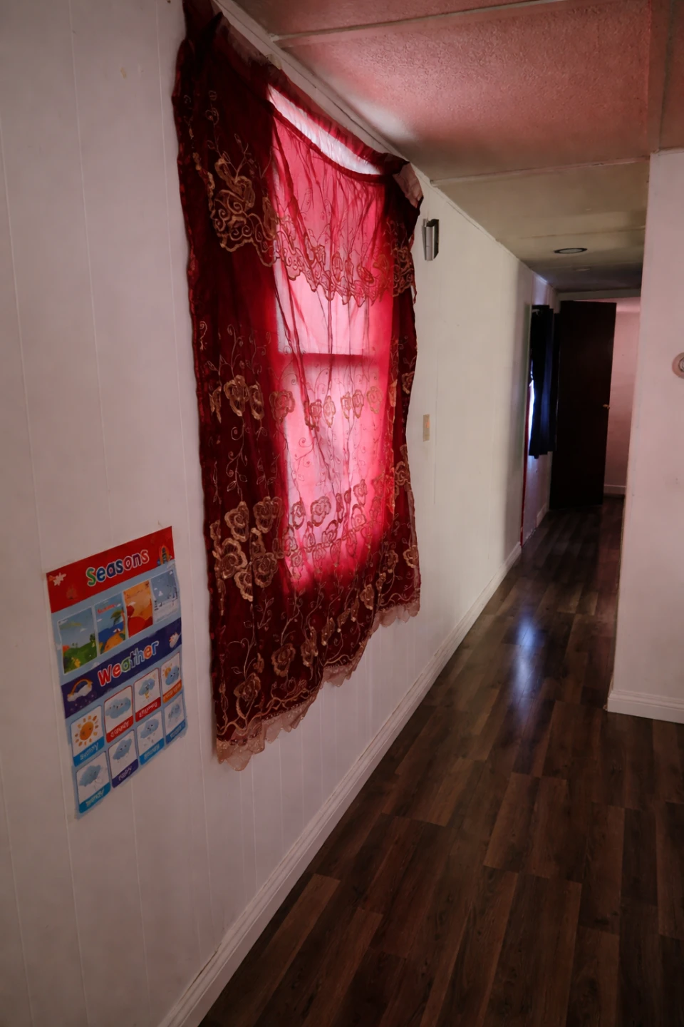 Traila - photo 2