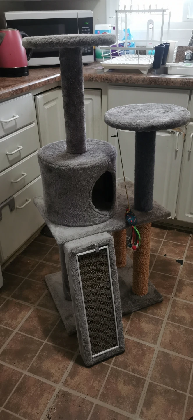 Multi-level Cat Tree Condo with Scratching Pad - photo 3