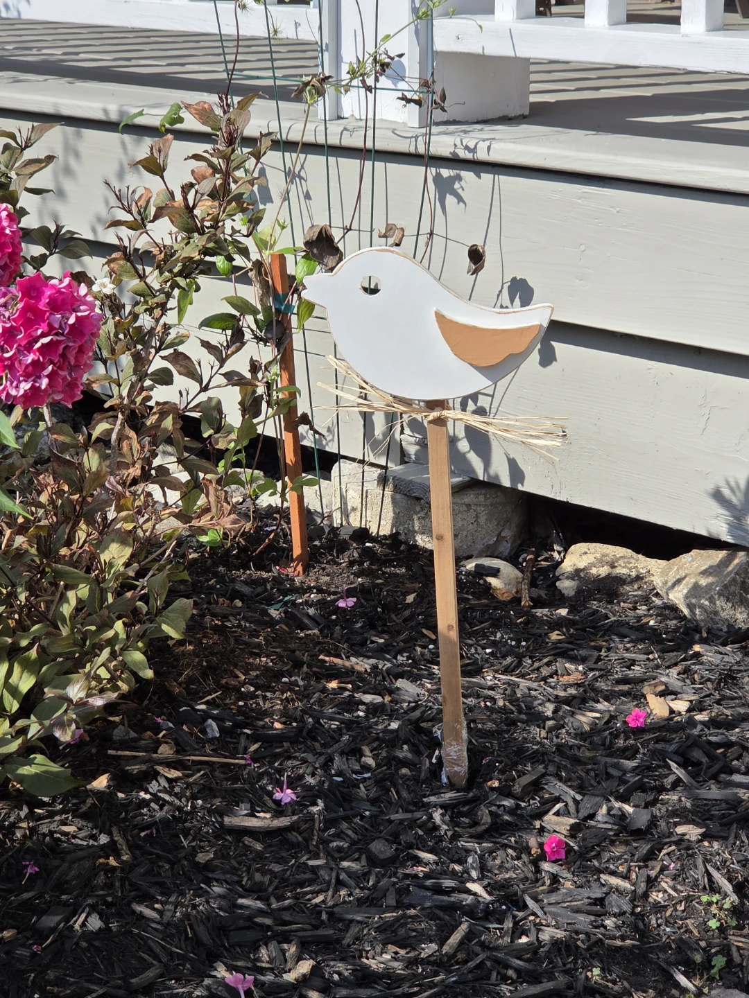 Garden birds - photo 2