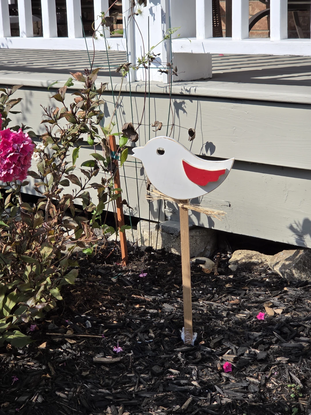 Garden birds - photo 5
