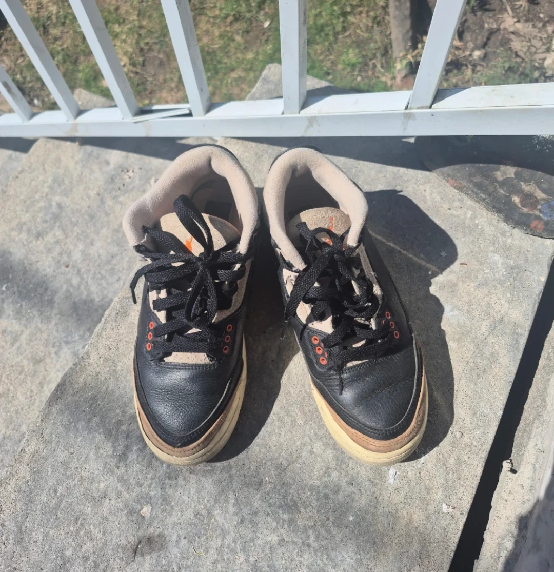 Air Jordan 3 Retro Elephants - photo 3