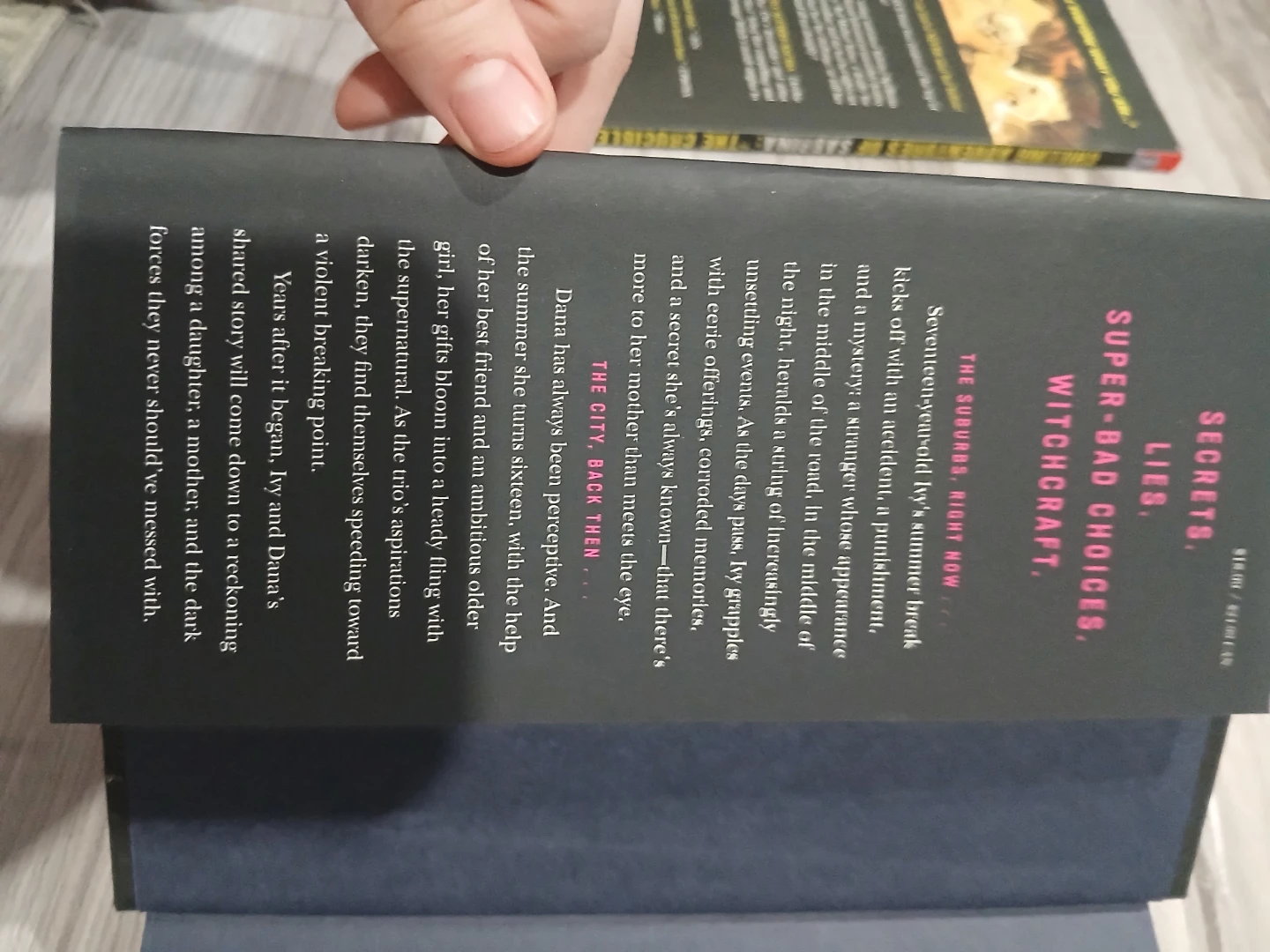 Book - photo 2