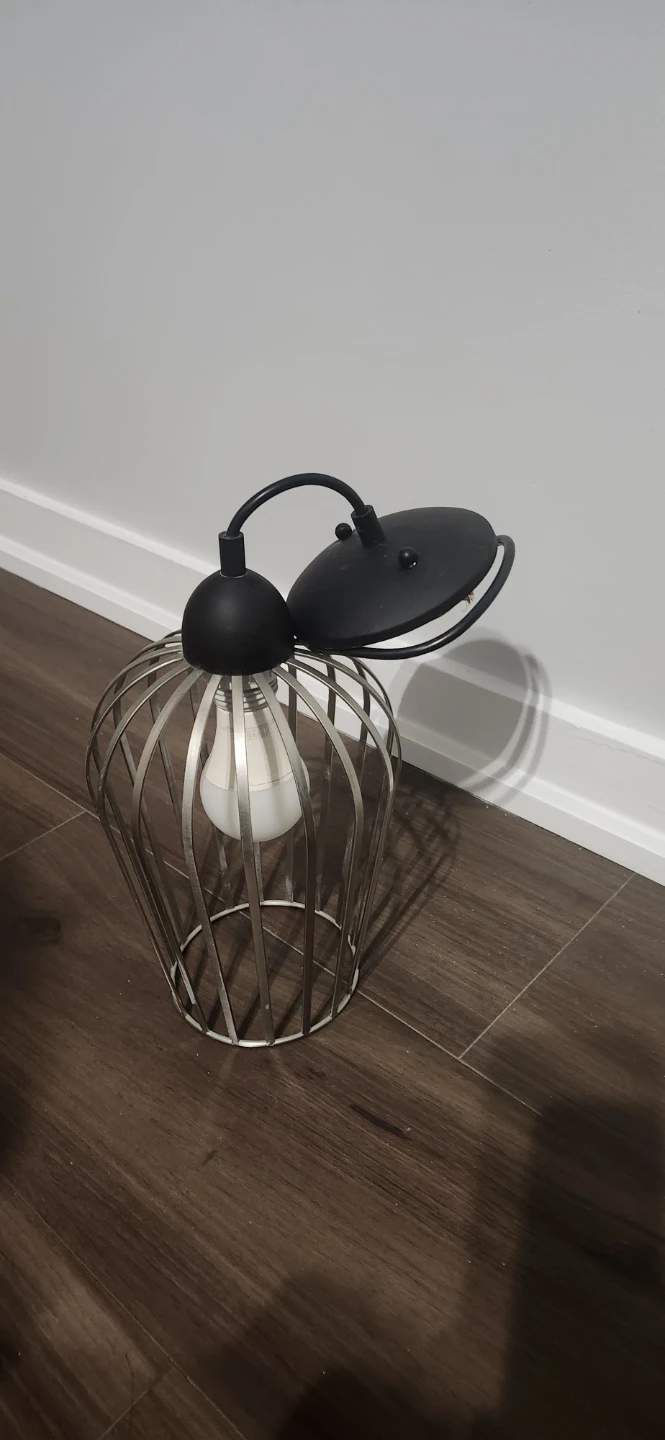 Industrial Style Metal Cage Light Fixture