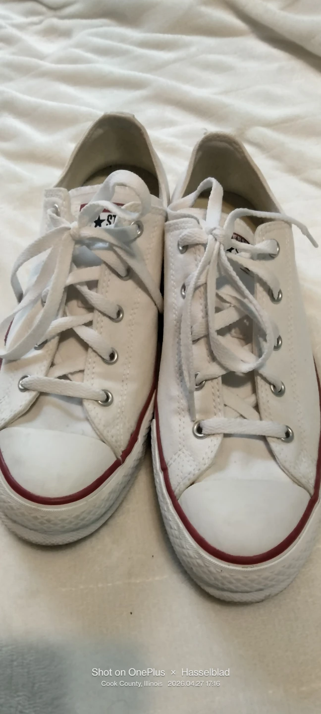 Converse All Star Chuck Taylor Low Top Sneakers - White