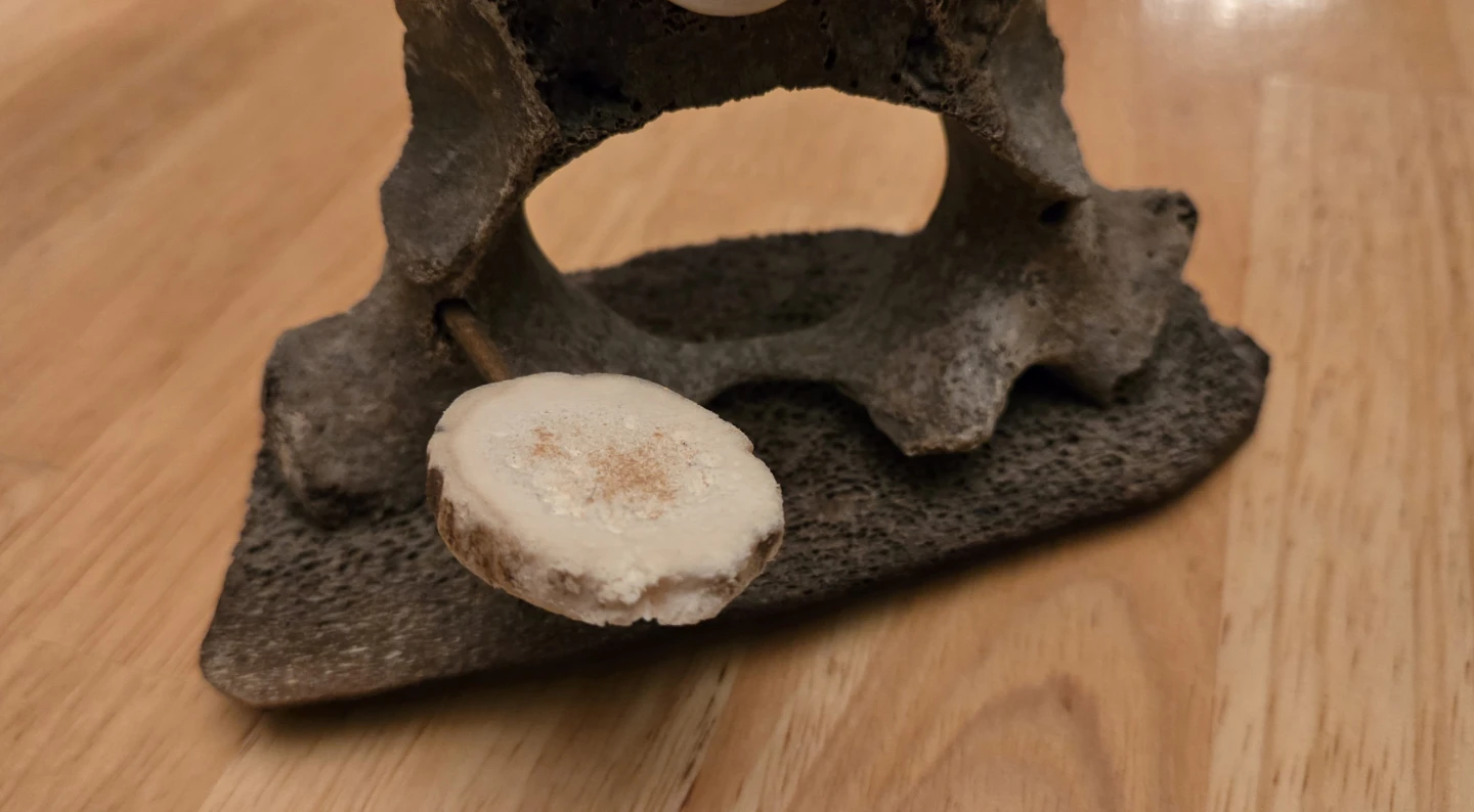 Inuit Sculpture/Art Piece - photo 4