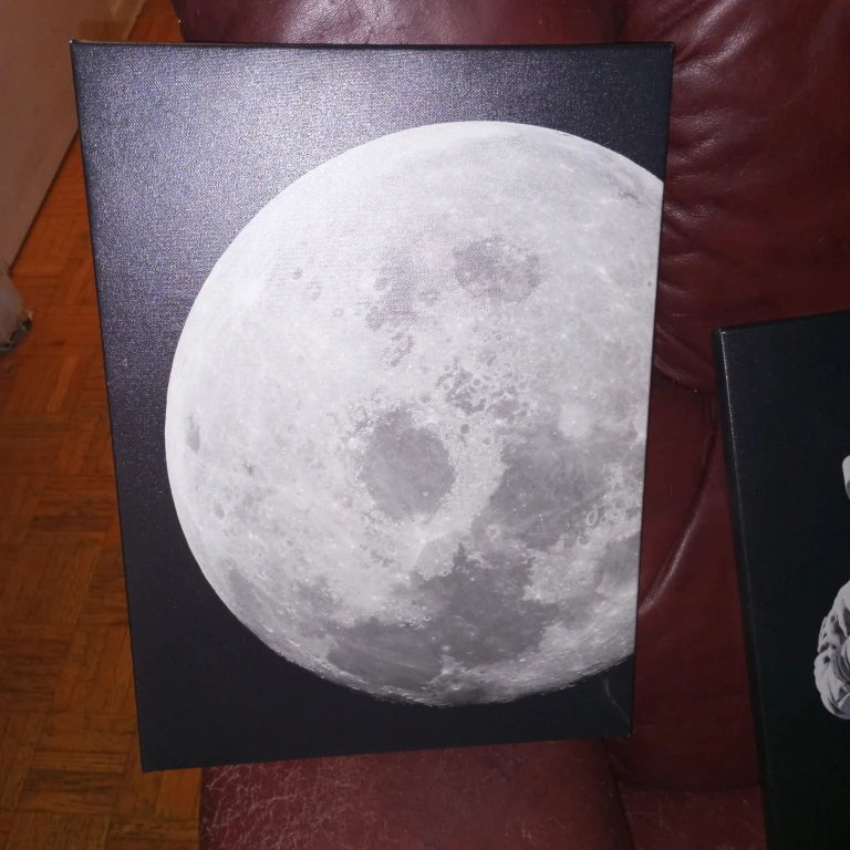 Astronaut / Space Canvas Prints🌱