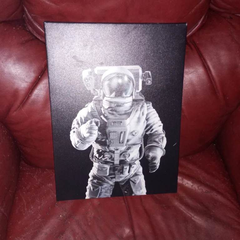 Astronaut / Space Canvas Prints🌱 - photo 2