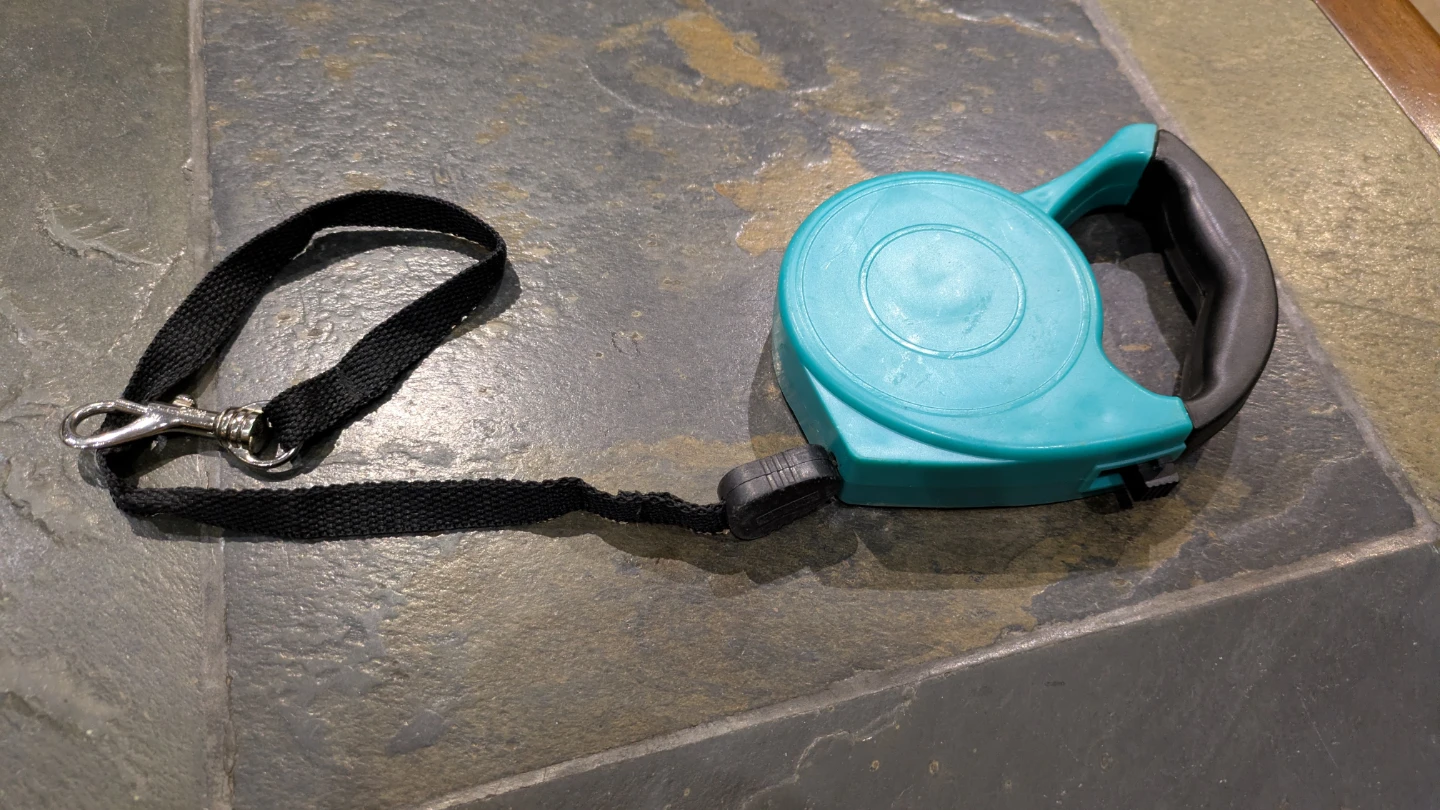 🌱 RETRACTABLE DOG LEASH - photo 2