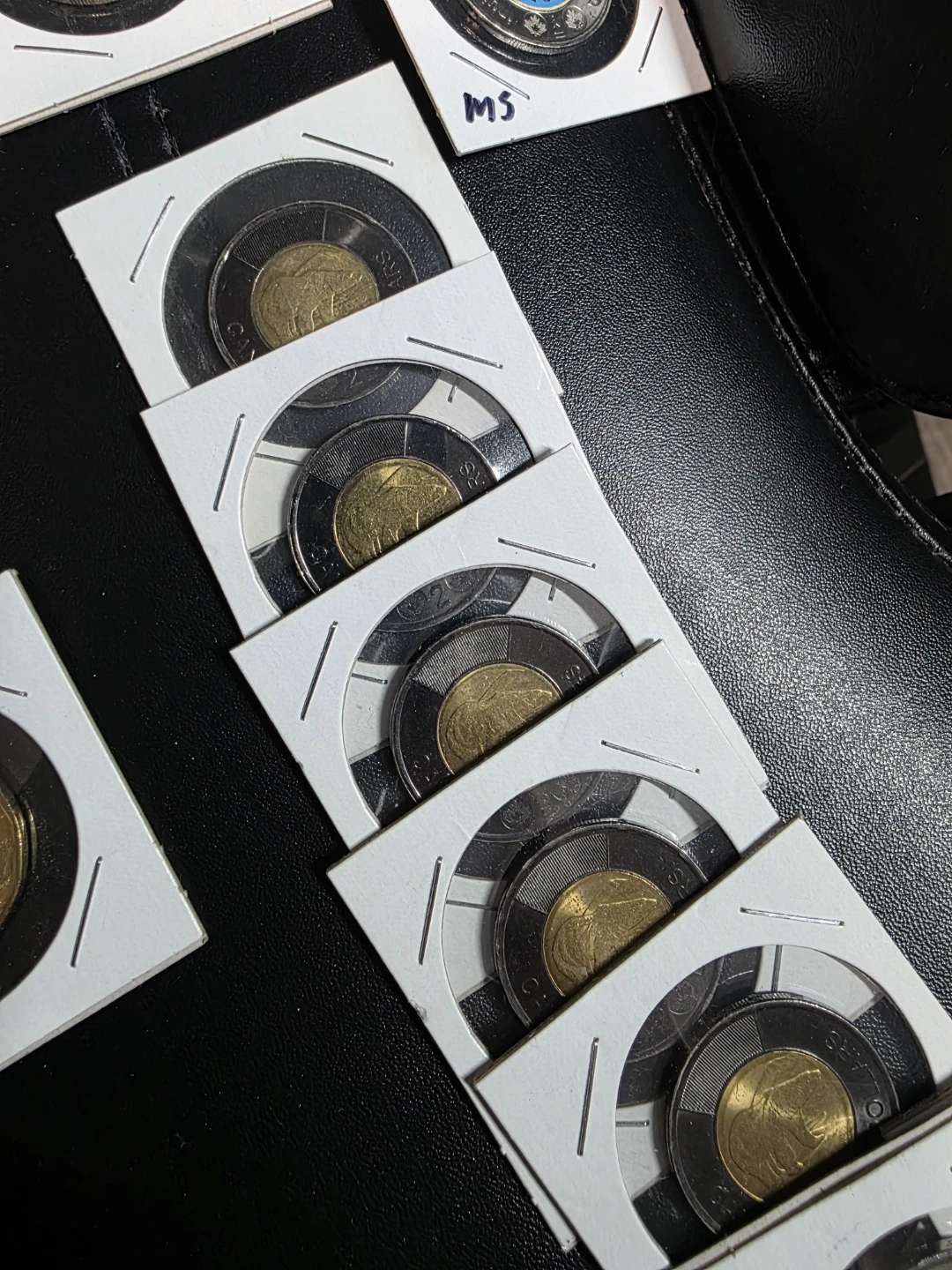 Collection of Canadian Dollar Coins - photo 4