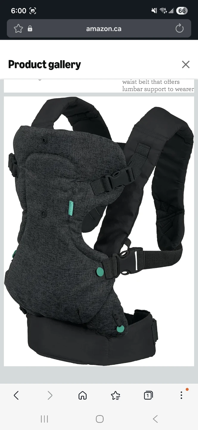 Infantino Carrier