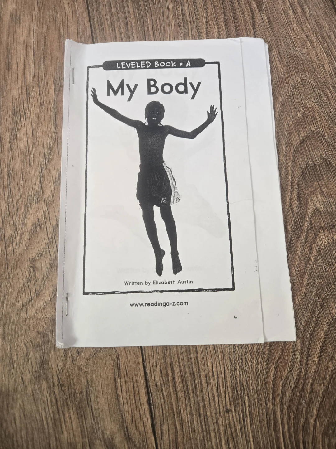 My Body Leveled Book A