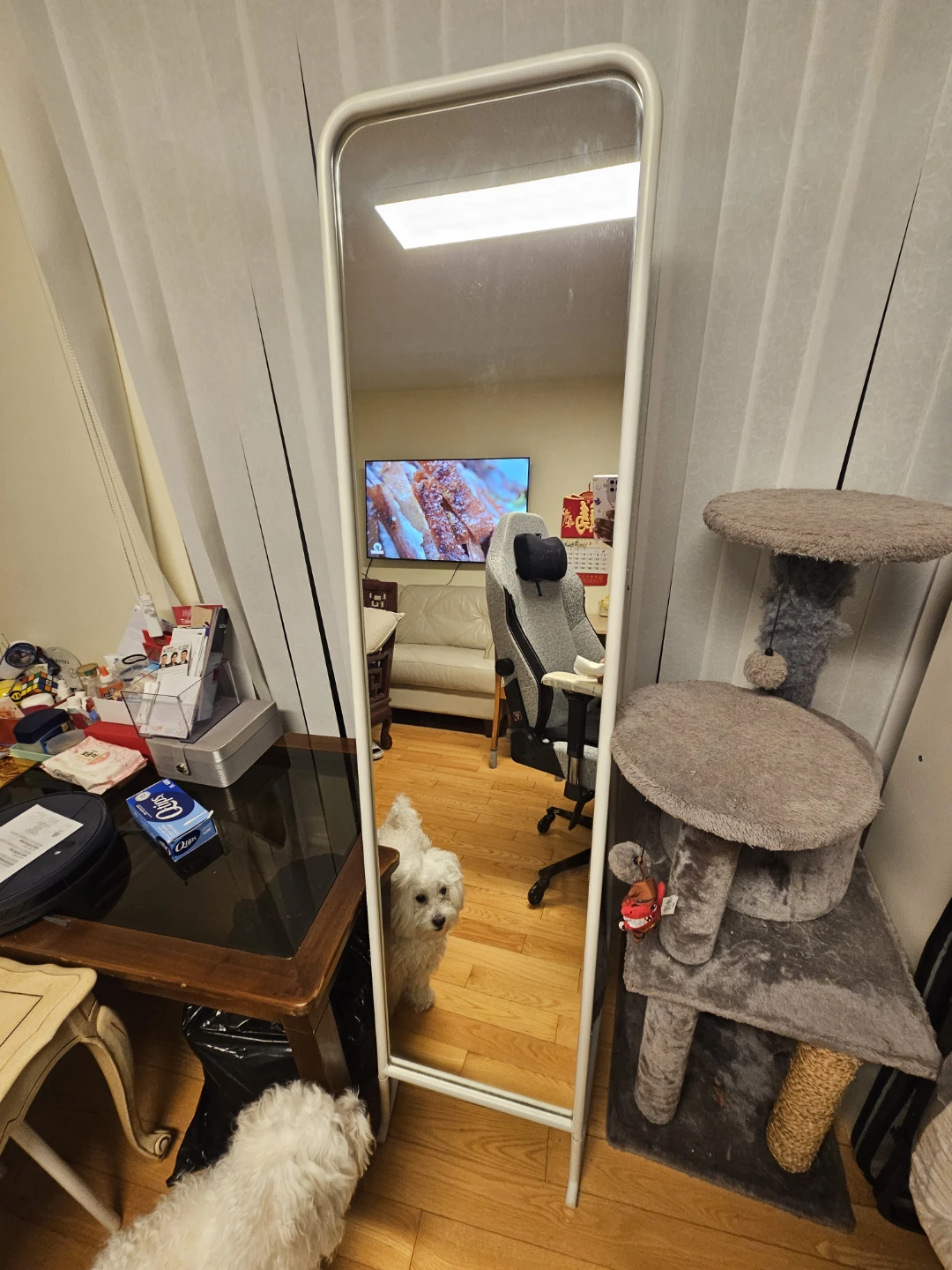 (IKEA KNAPPER) Standing Full Length Mirror