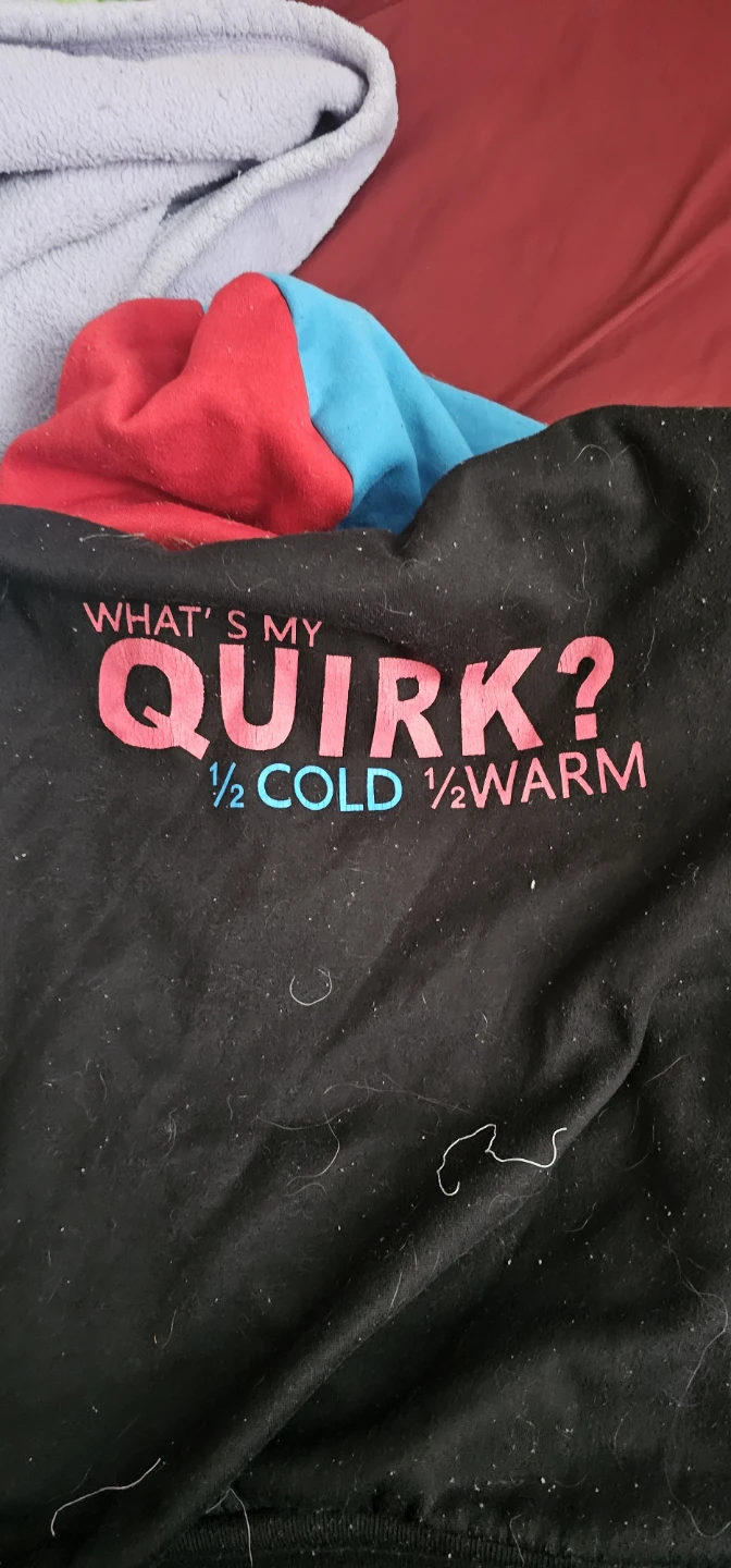 SHOTO "WHAT'S MY QUIRK? 1/2 COLD 1/2 WARM" Hoodie