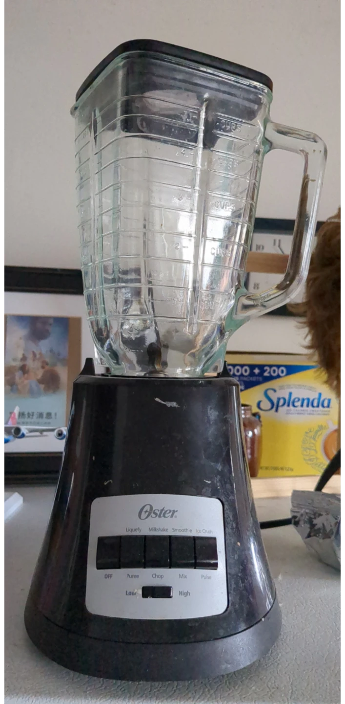Oster Blender