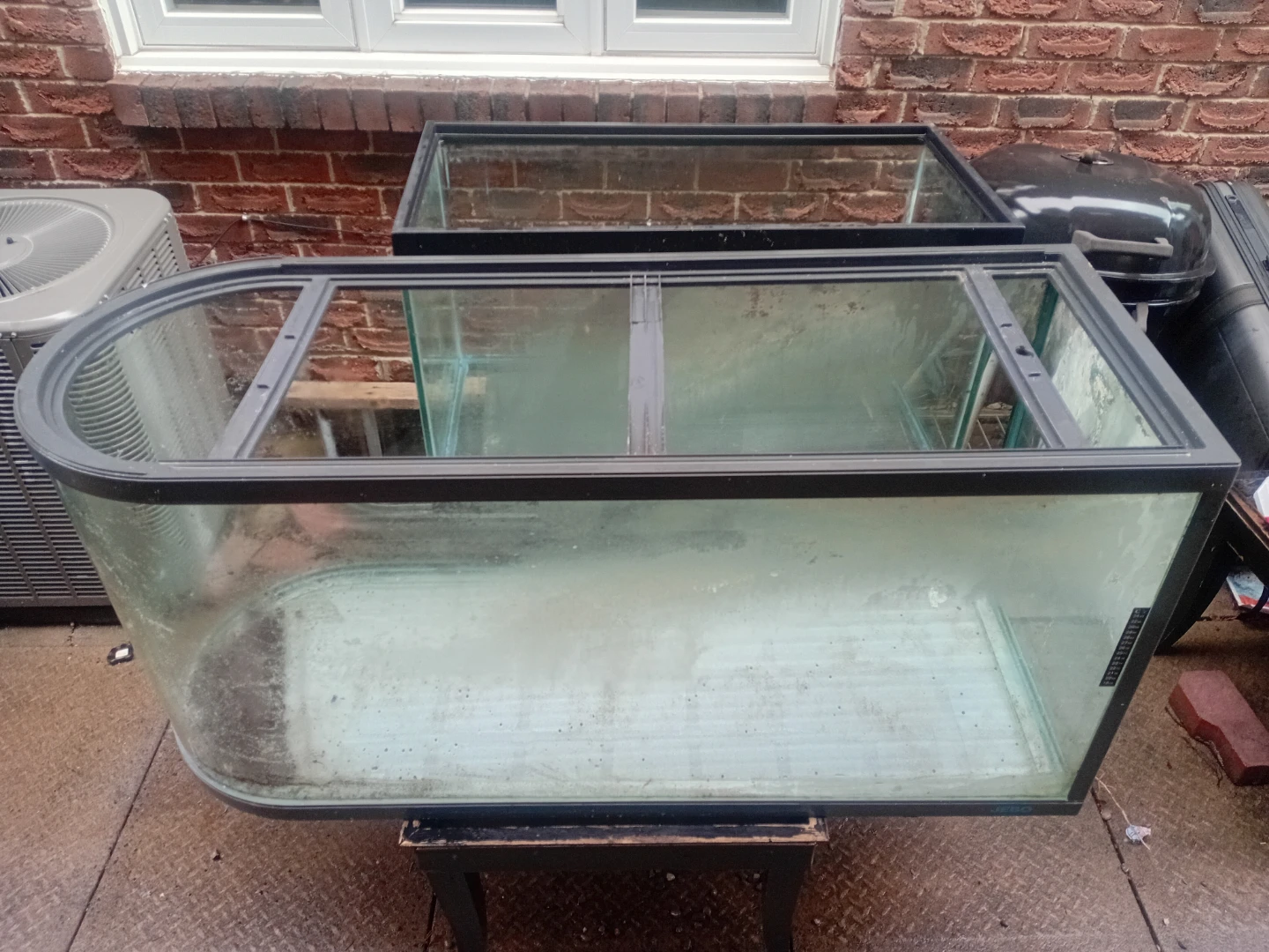 Curved Front Aquarium Tank