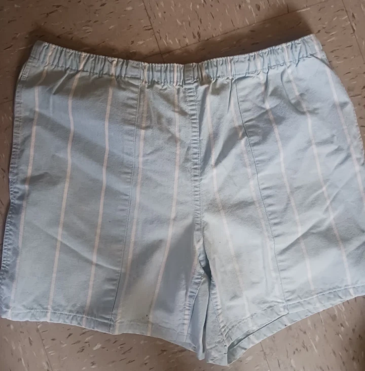 Polo by Ralph Lauren Striped Shorts