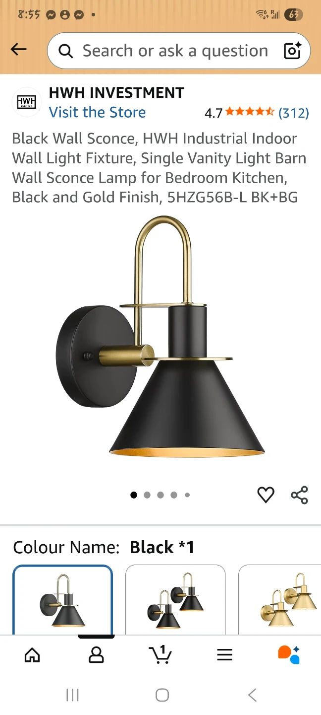 Wall Sconce Light Fixture