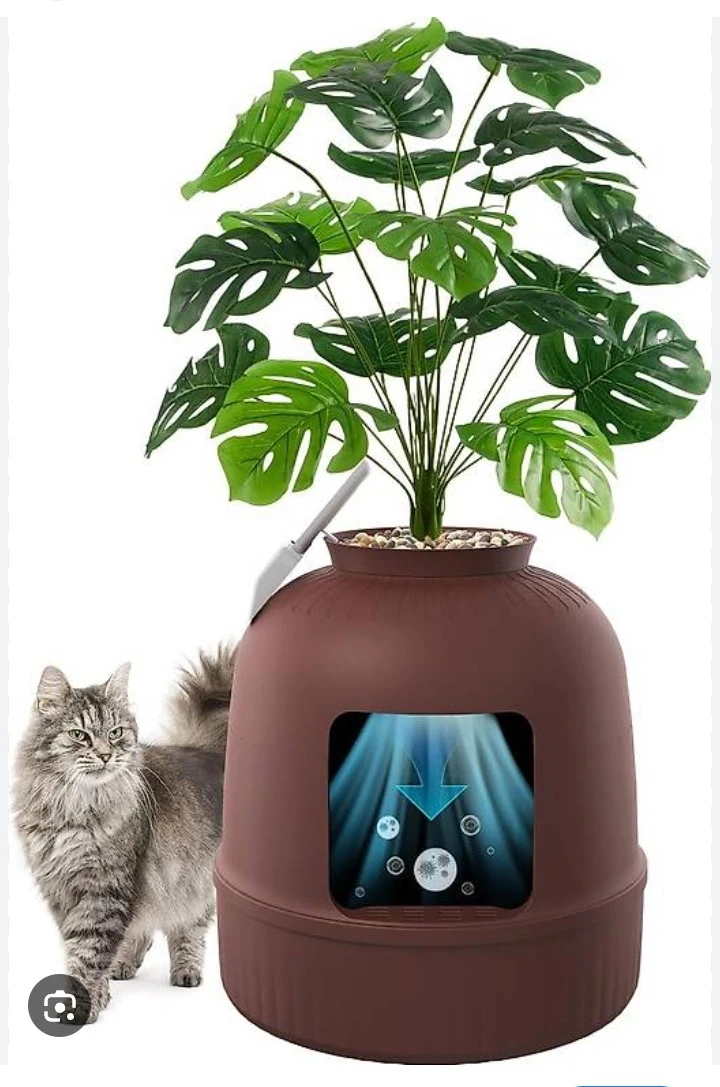 Cat litter box plant (New in box)