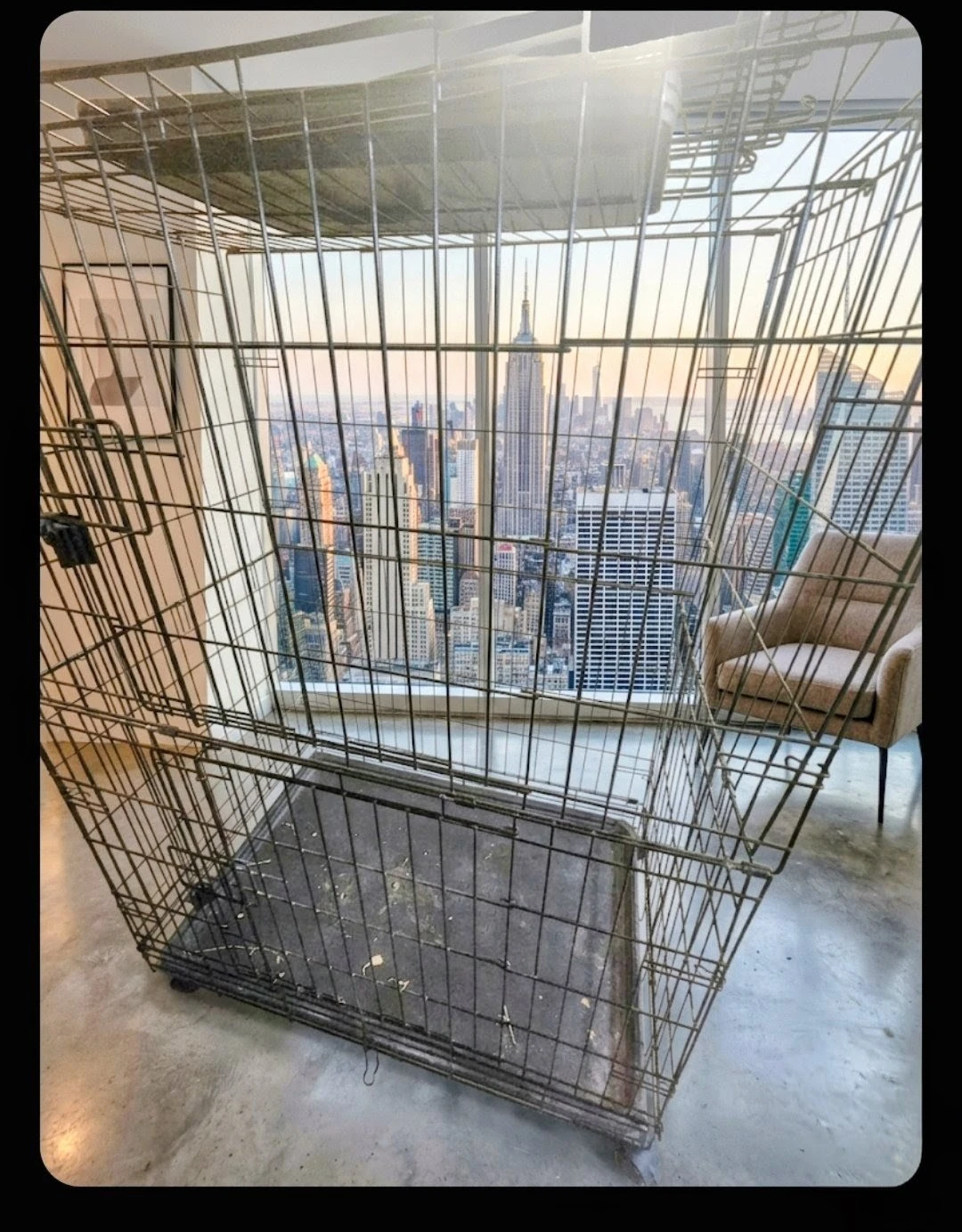 Amazon Basics 3-Tier Cat Cage Playpen - 22 Inch - photo 3