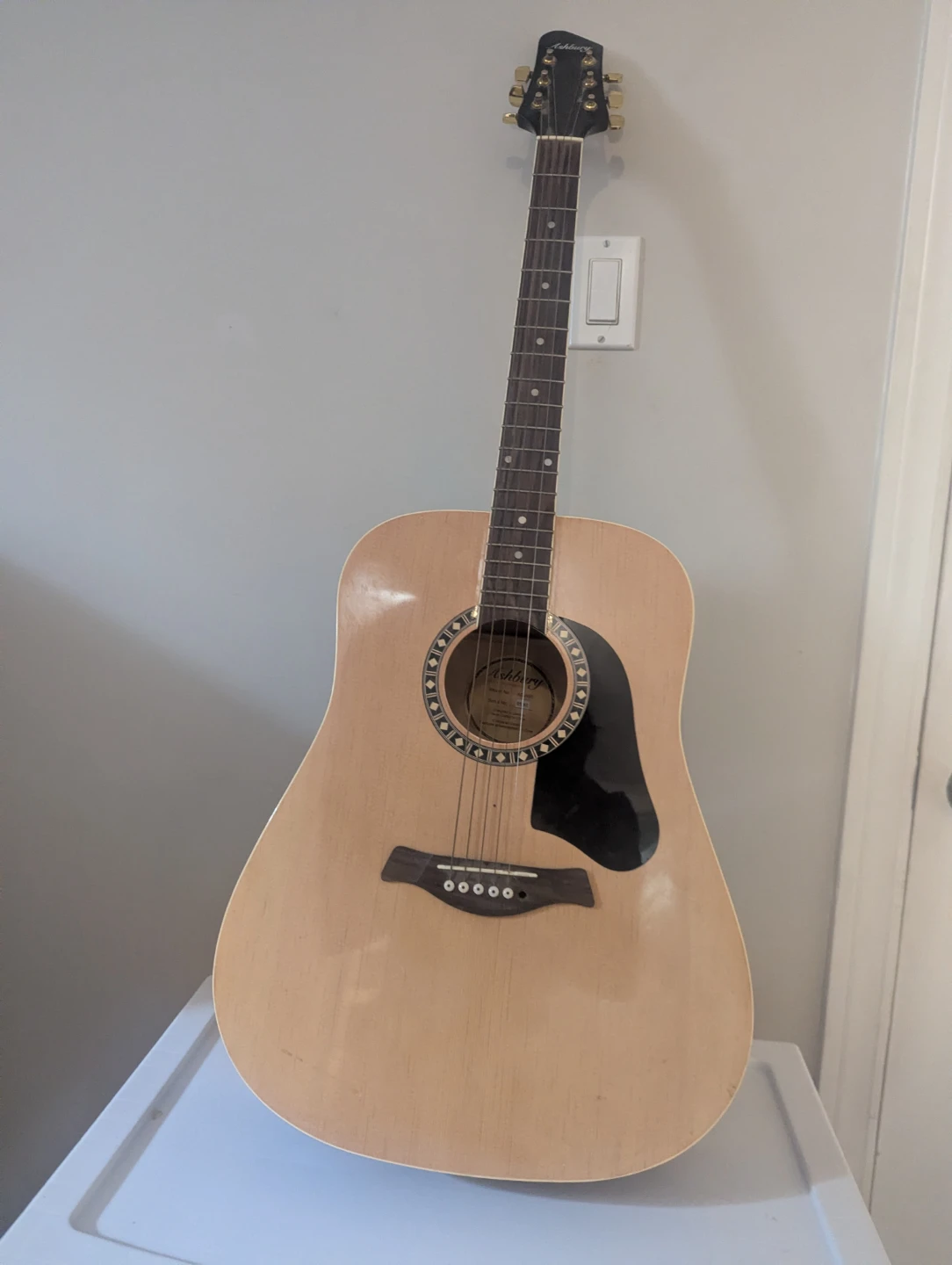 Ashbury AG-500 Acoustic Guitar