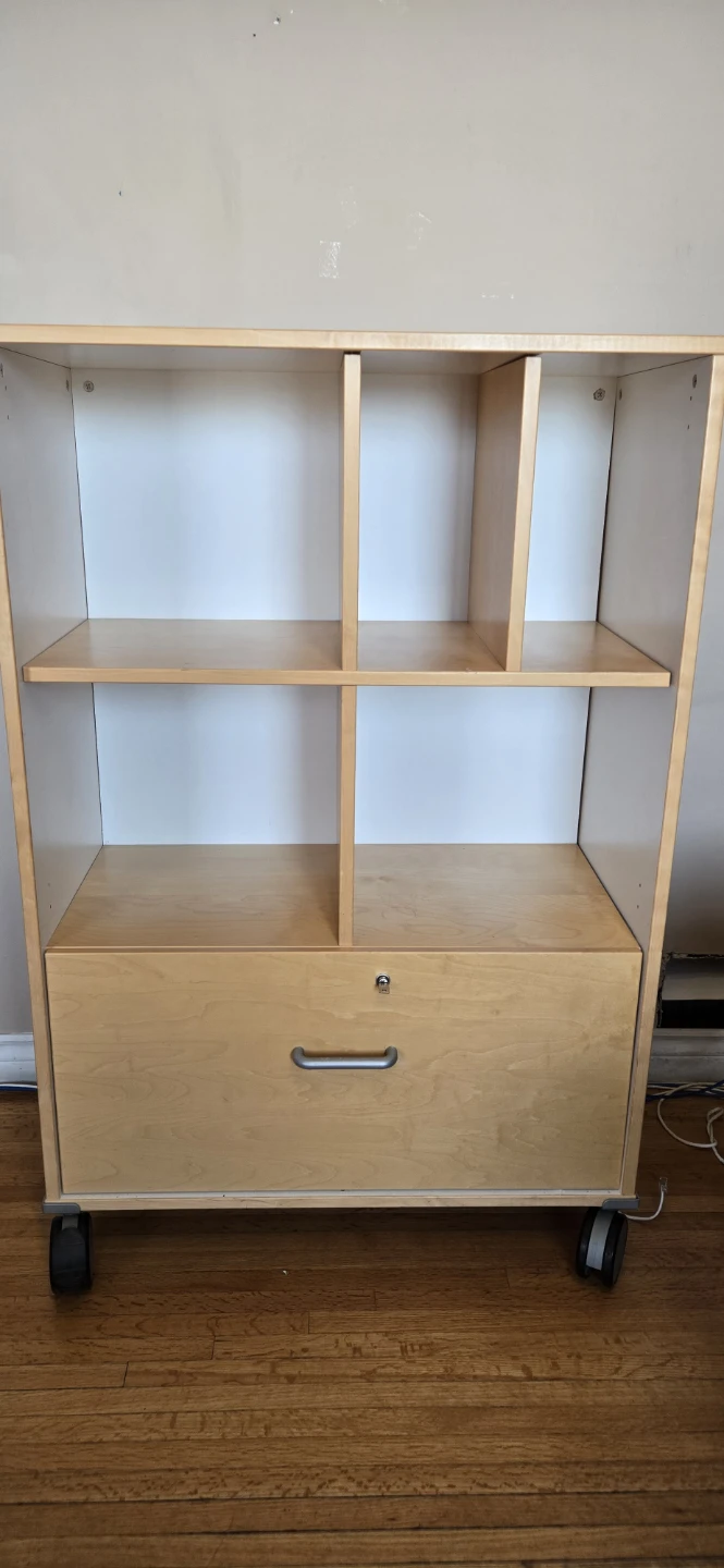 Vintage small rolling cabinet