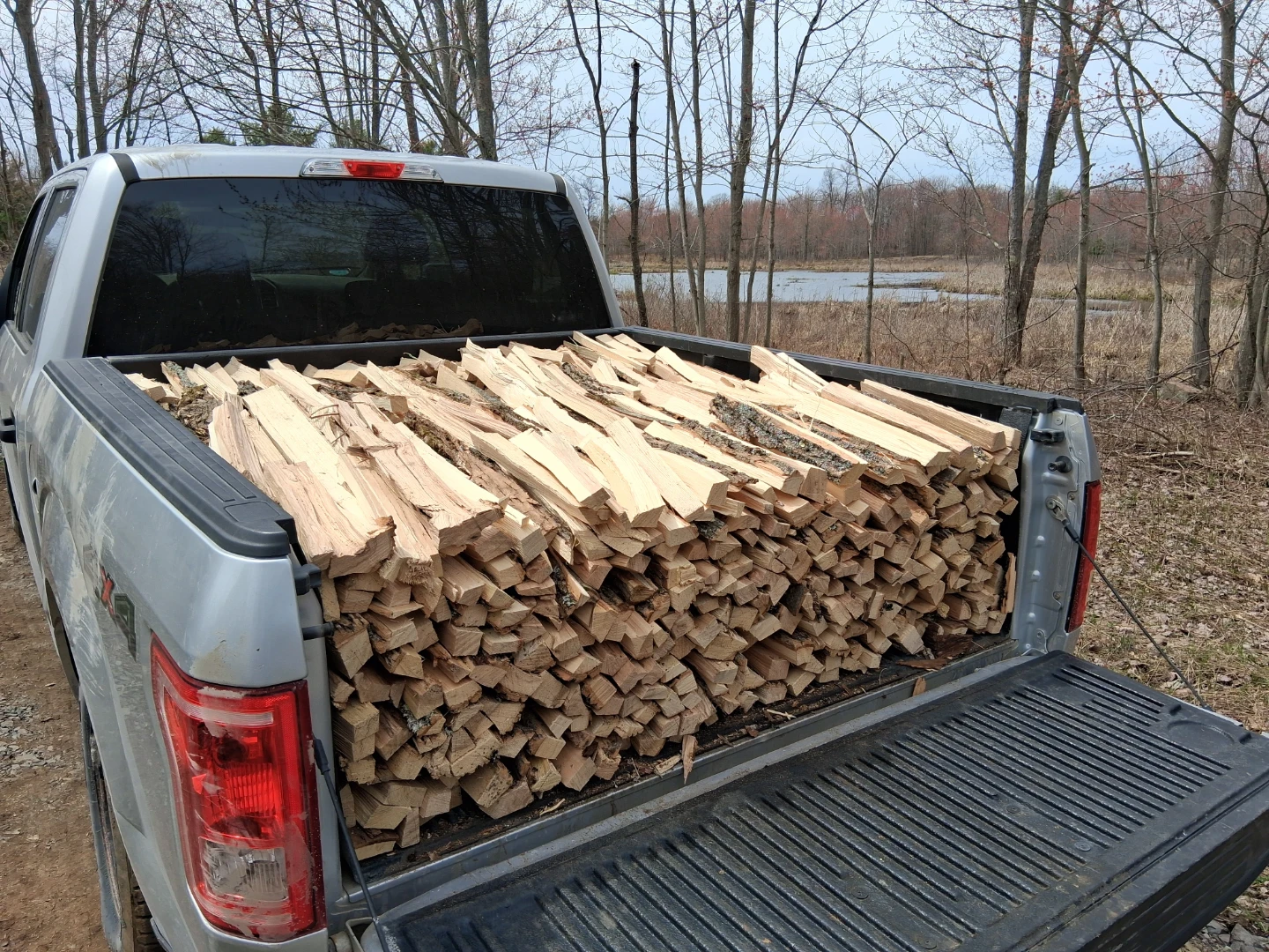 Firewood - campfire/bonfire/kindling